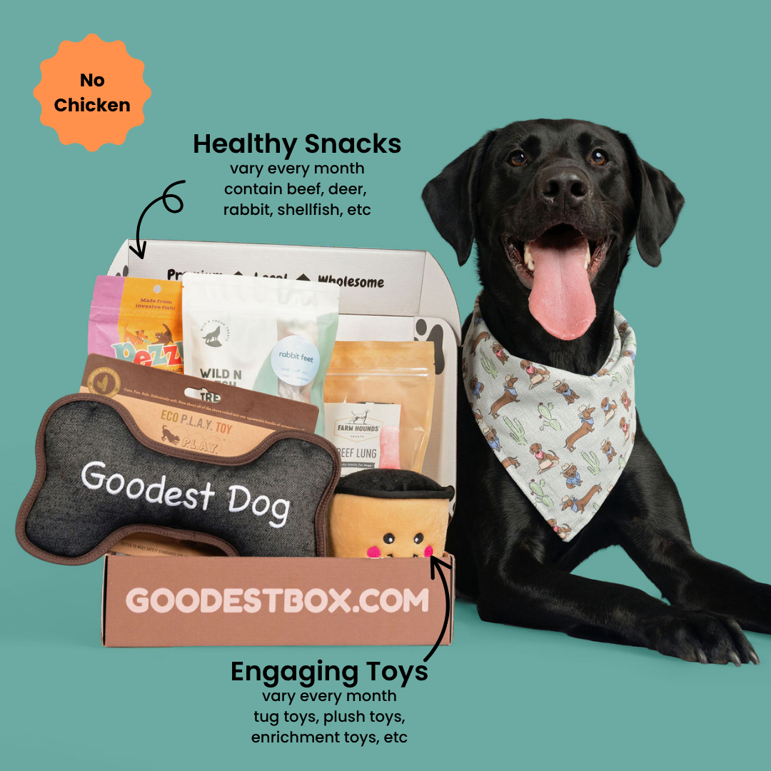 Everyday Vitality Box