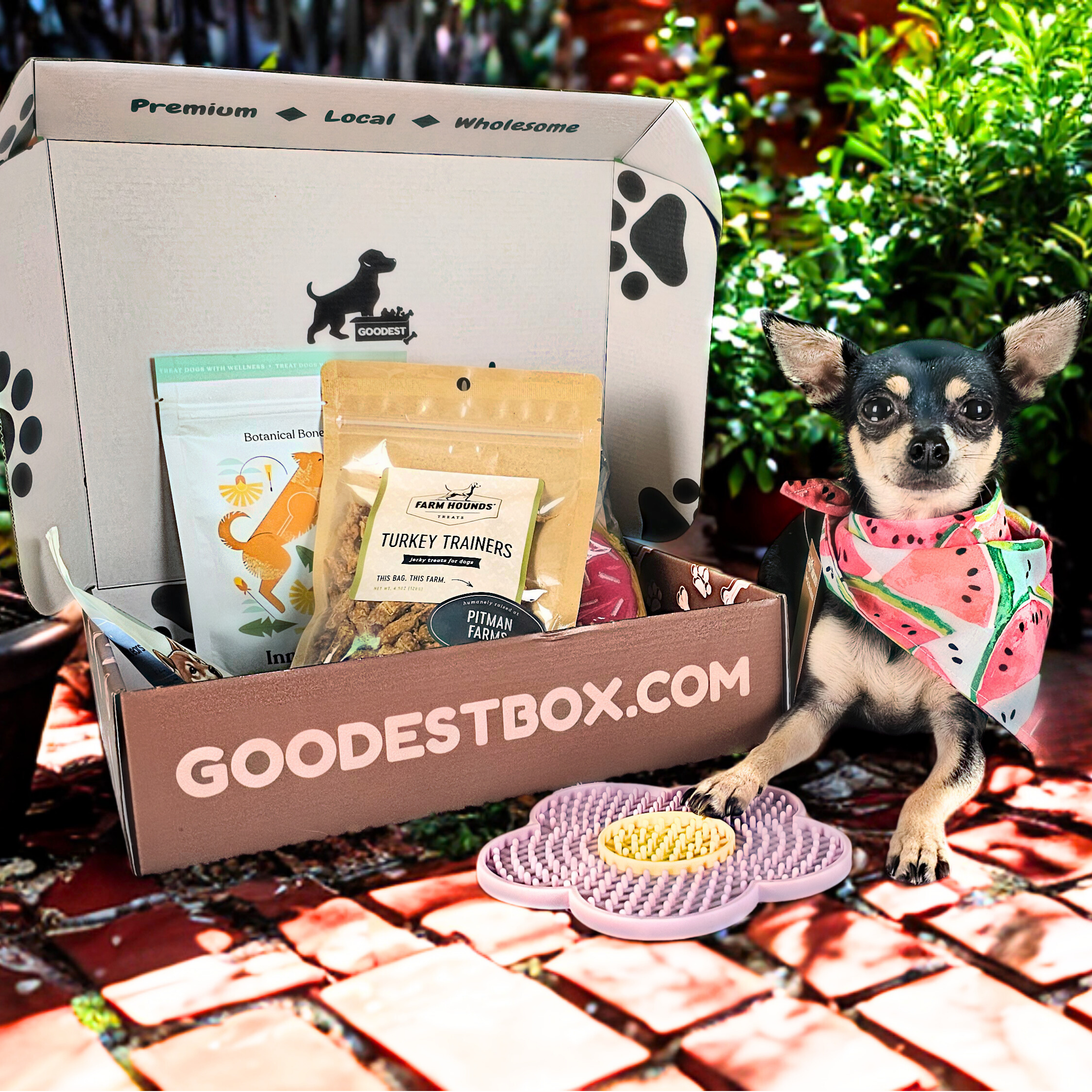 Everyday Vitality Box - Fi Giveaway